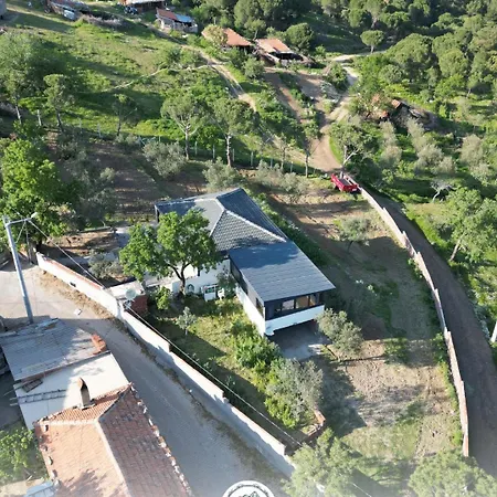 Daire Serenity Mountain House Ayvalı